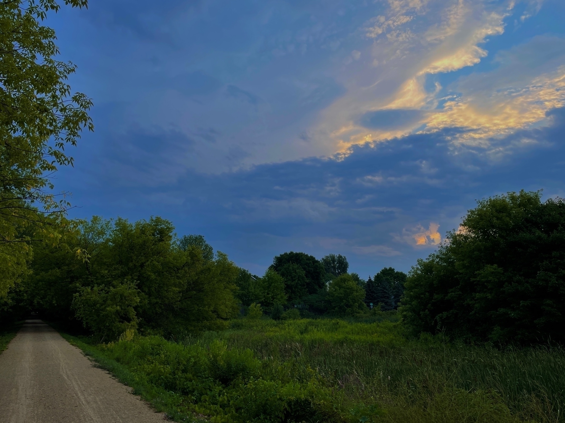 A dirt path runs through a green forested area with thick trees and bushes, while a partly cloudy sky with some golden sunlight is visible above.