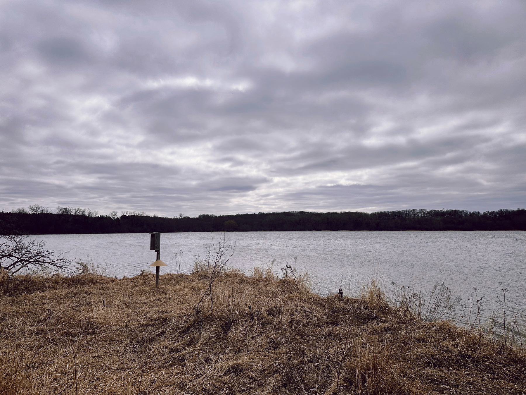 A cloudy sky over a tranquil body of water with a wooden birdhouse on a post in the foreground and a forest lining the far shore.