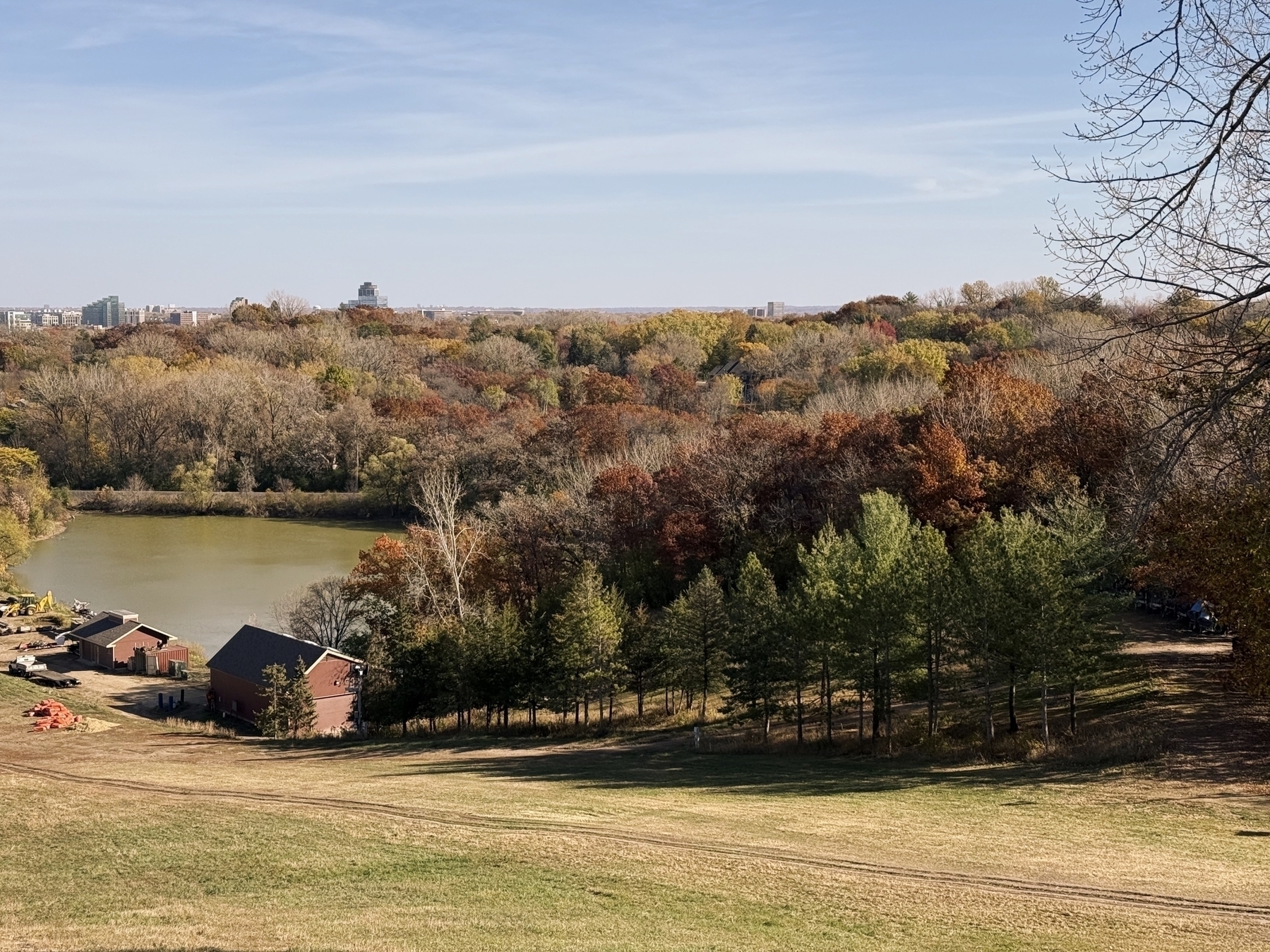 Buildings sit near a calm lake, surrounded by a forest of colorful autumn trees. Grass covers the foreground, while city structures are faintly visible on the horizon.