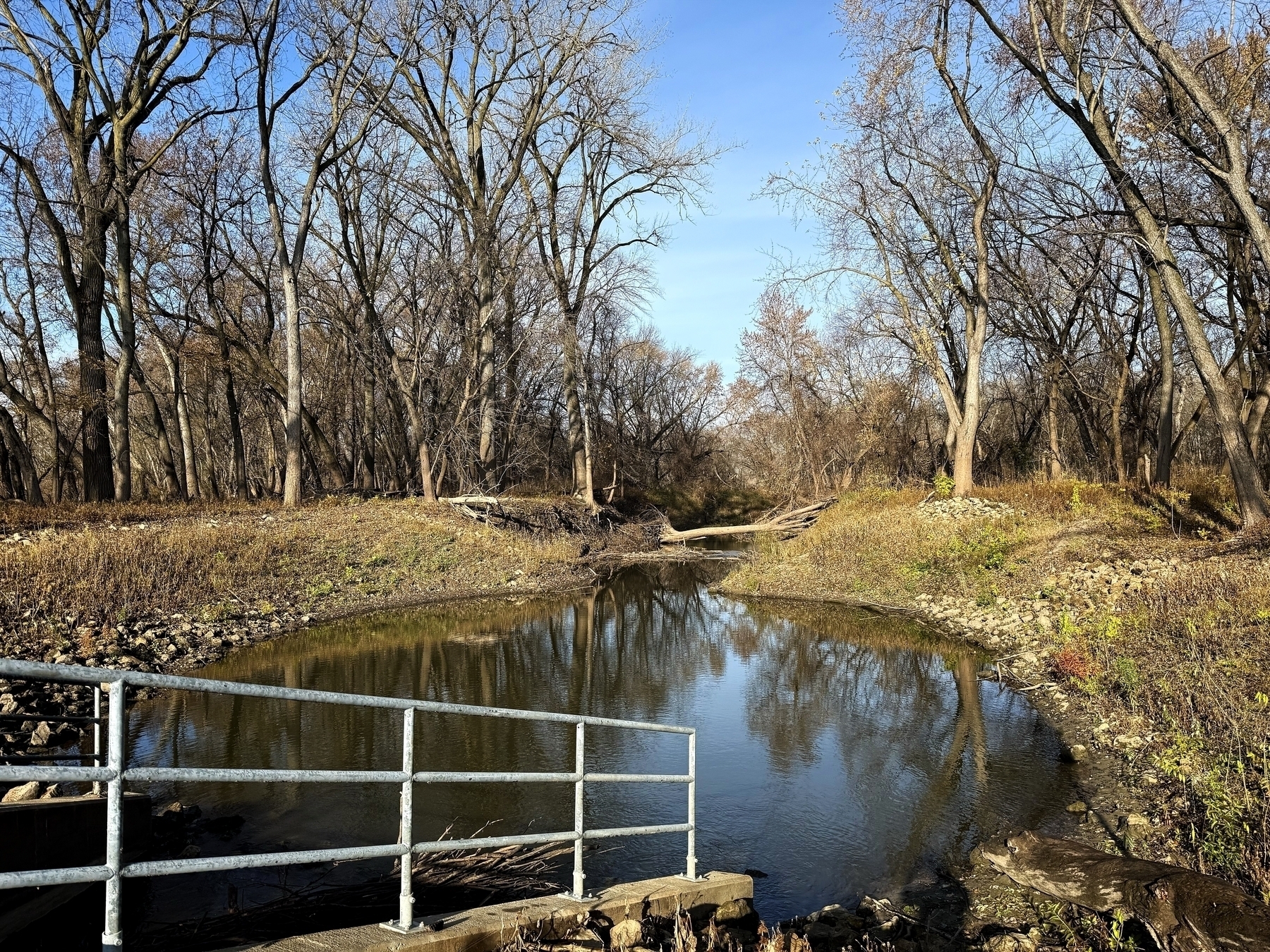 A railing stands by a calm pond, reflecting leafless trees on a clear, sunny day, with a grassy, rocky shore surrounding the scene.