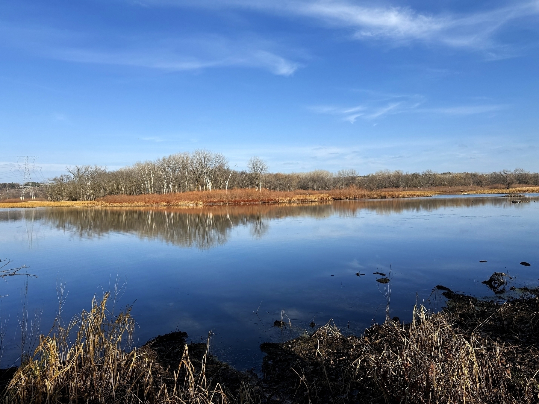 Calm lake reflects bare trees, brown grass, and blue sky. Nearby tall reeds stand by water’s edge in a peaceful landscape with clear weather.