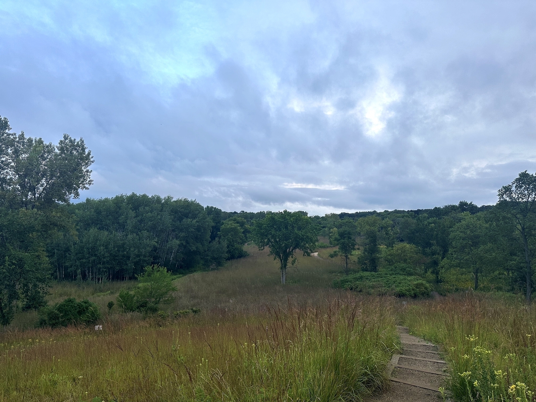 A narrow dirt path descends through tall grassy terrain bordered by lush trees under a cloudy blue sky.