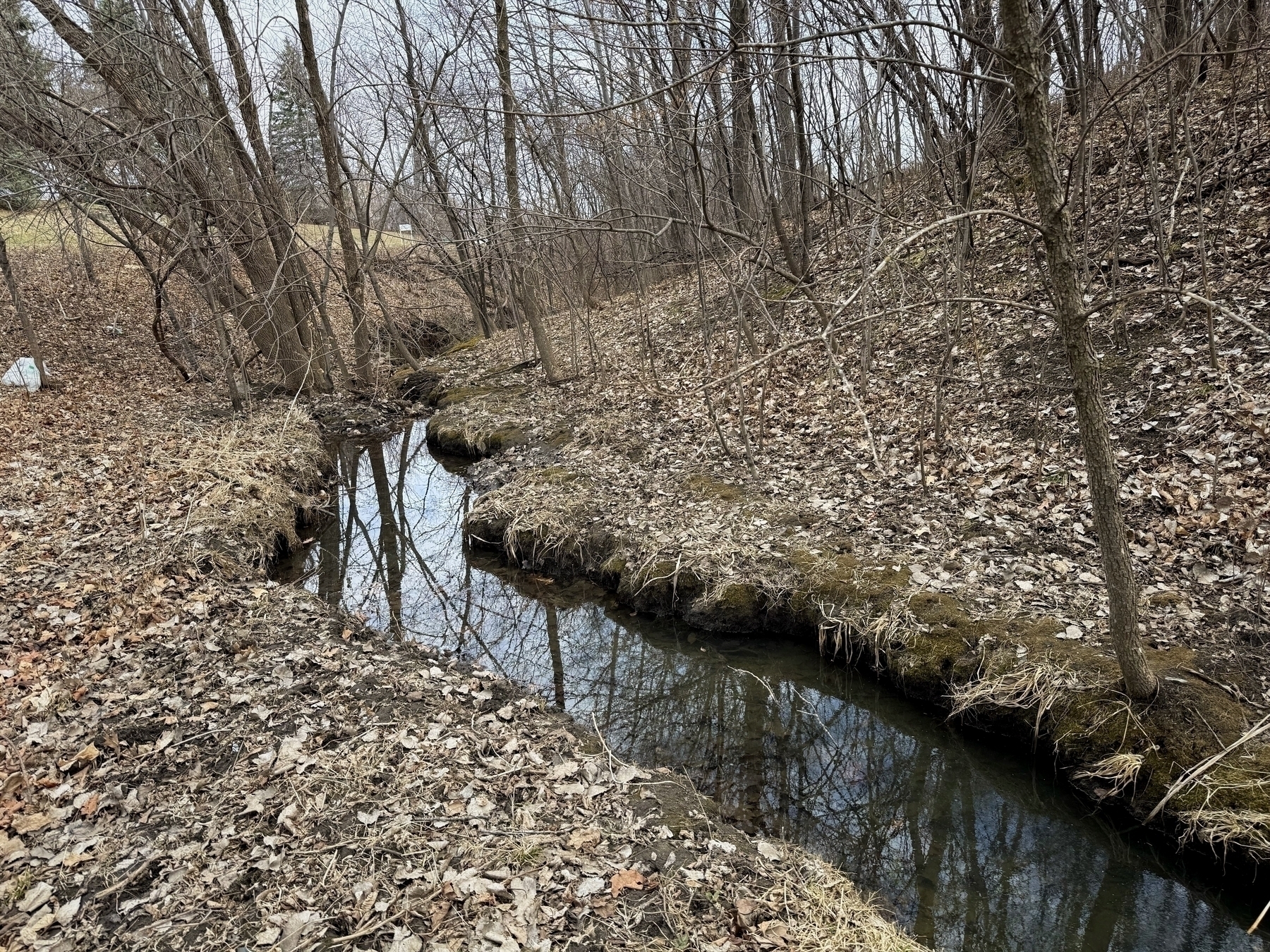 A narrow stream flows through a leaf-covered forest in early winter, with bare trees lining its banks. The water reflects the surrounding landscape, adding a sense of stillness to the scene.
