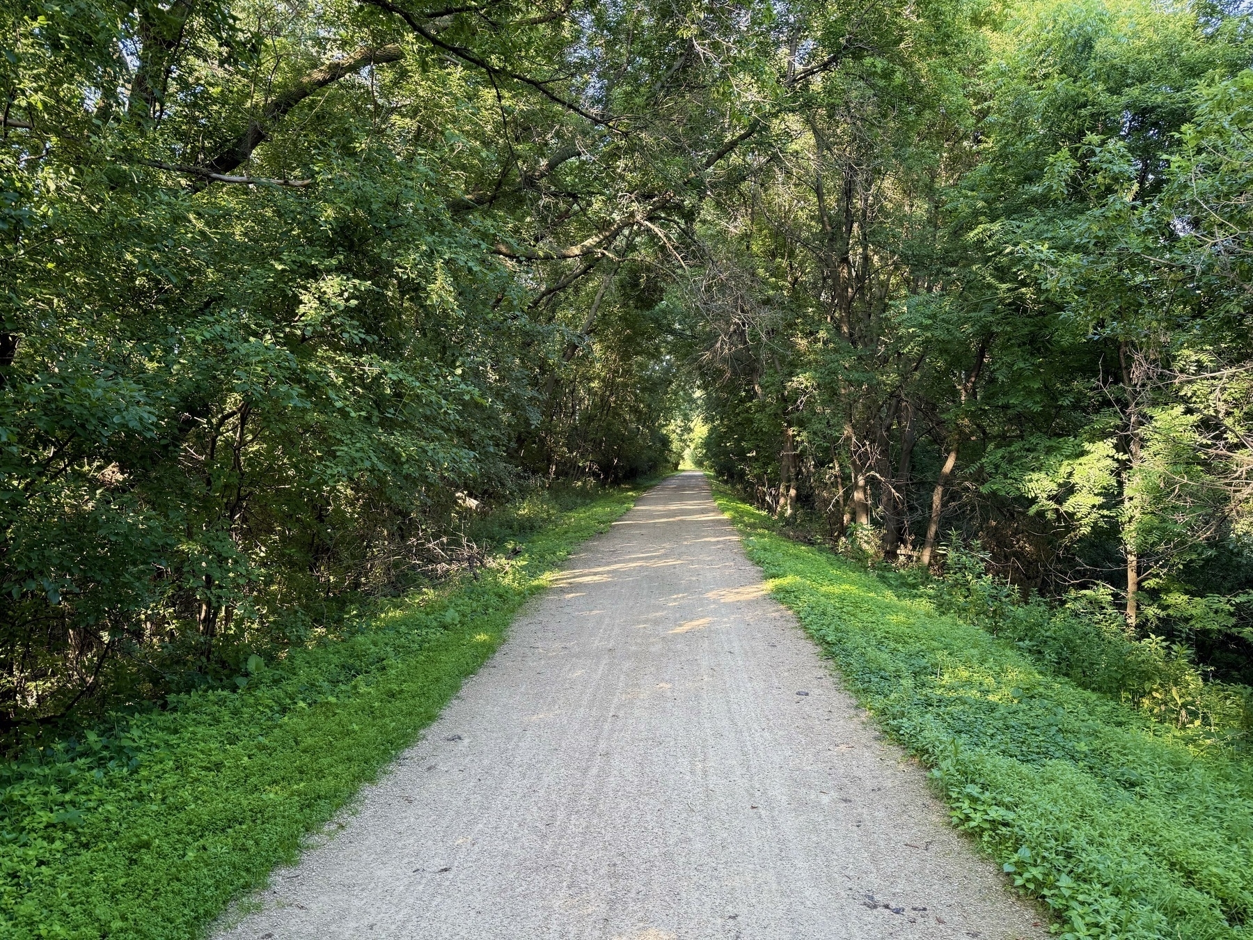 A tree-lined gravel path stretches into the distance, surrounded by lush greenery under a canopy of leaves.