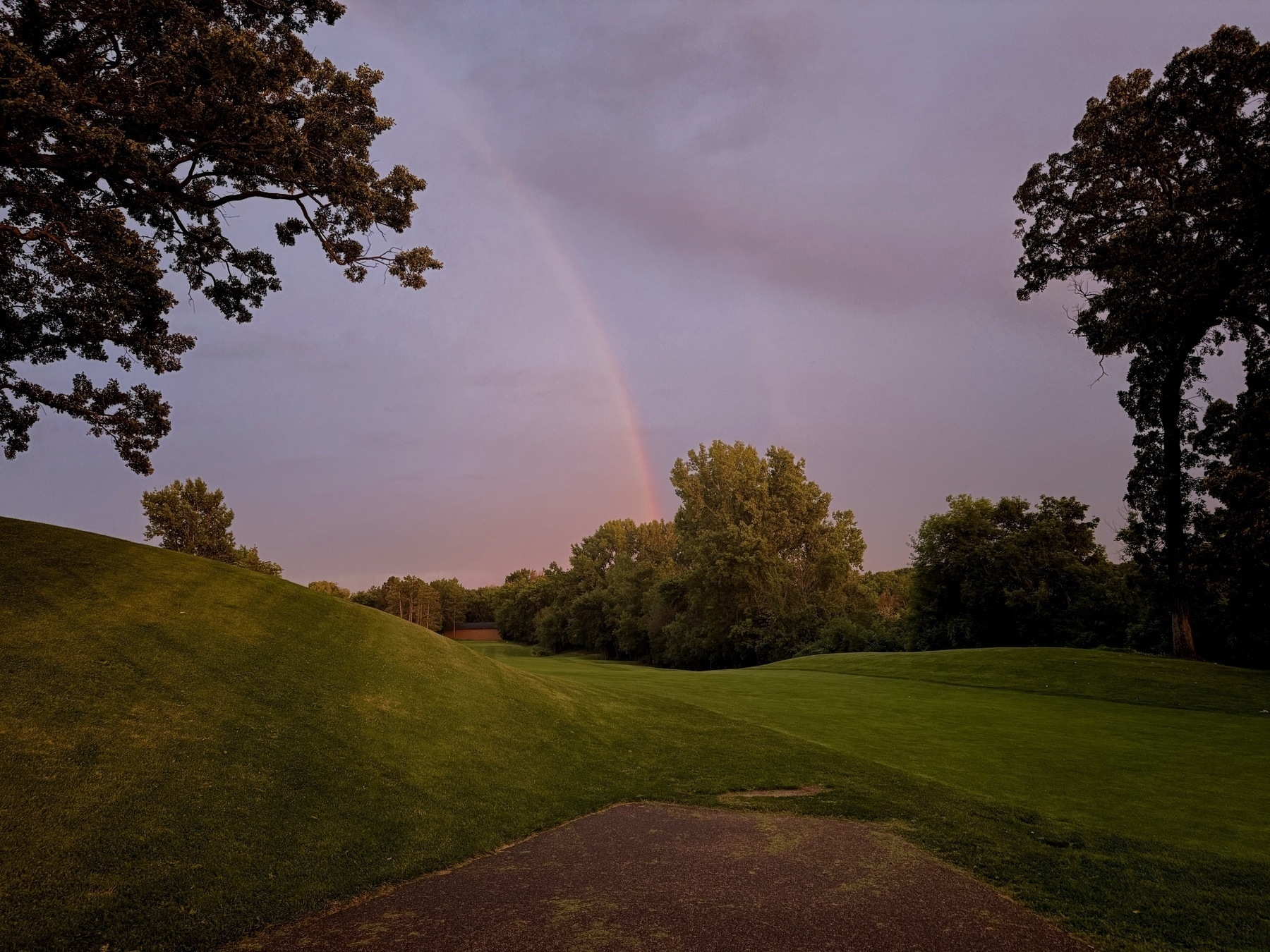 A serene landscape featuring a green, grassy hill under a purple sky. A faint rainbow arches over the horizon, framed by tall, leafy trees on both sides.