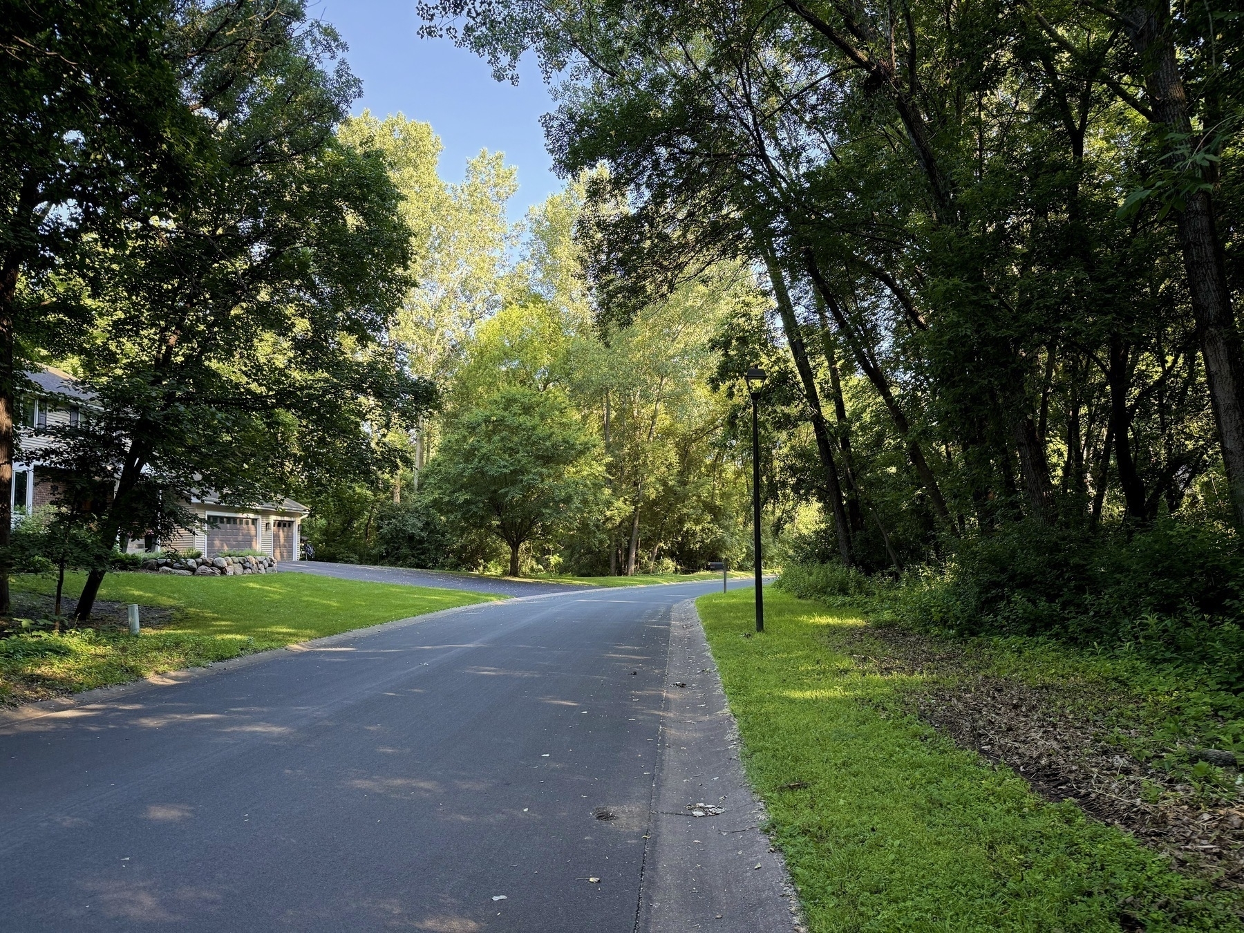 A quiet, tree-lined suburban street curves gently to the left, bordered by lush greenery and a well-kept lawn.