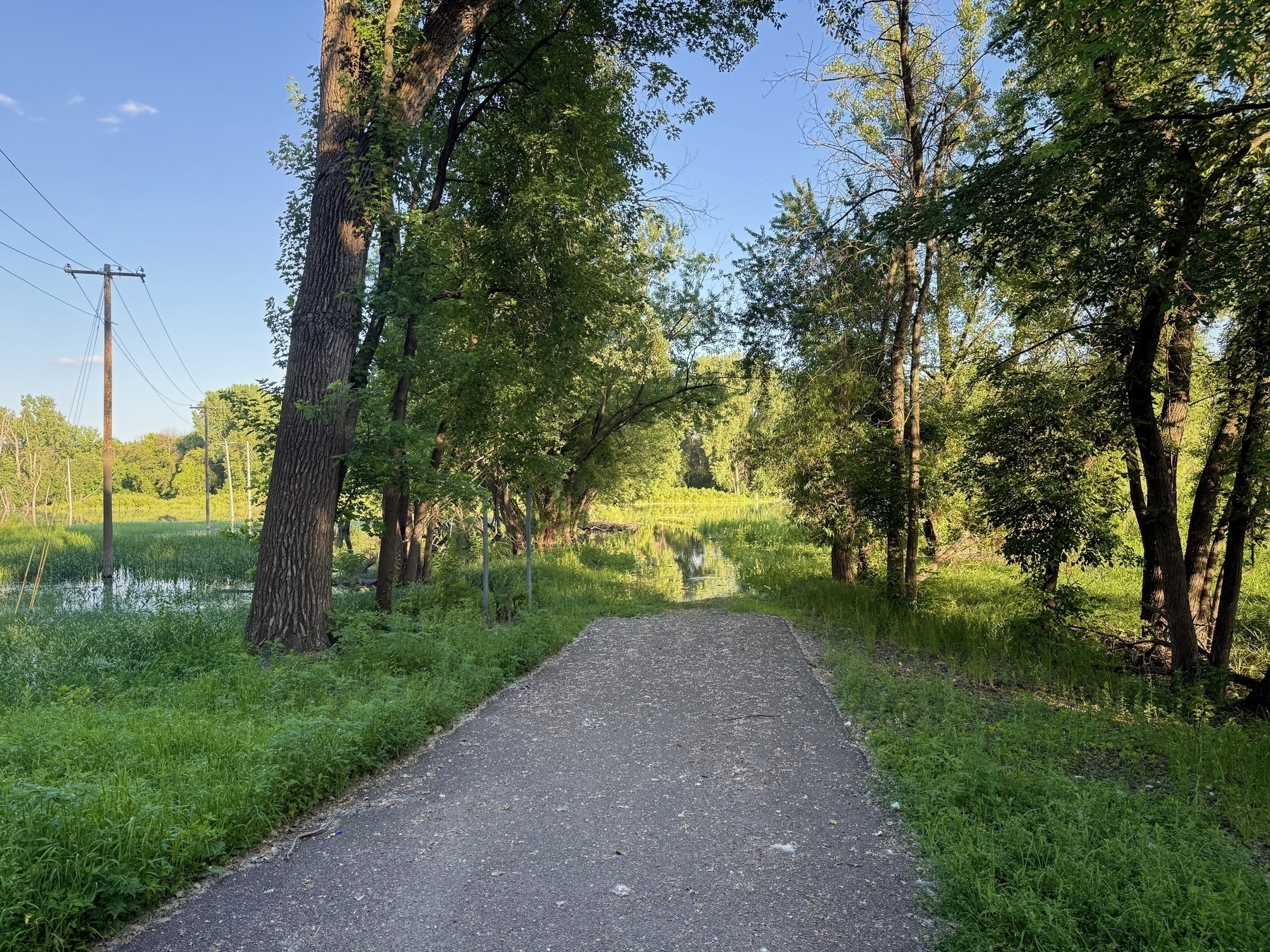 A paved path winds through a lush, green park with tall trees on either side. The sky is clear and blue, and there’s a glimpse of a small body of water surrounded by grass.