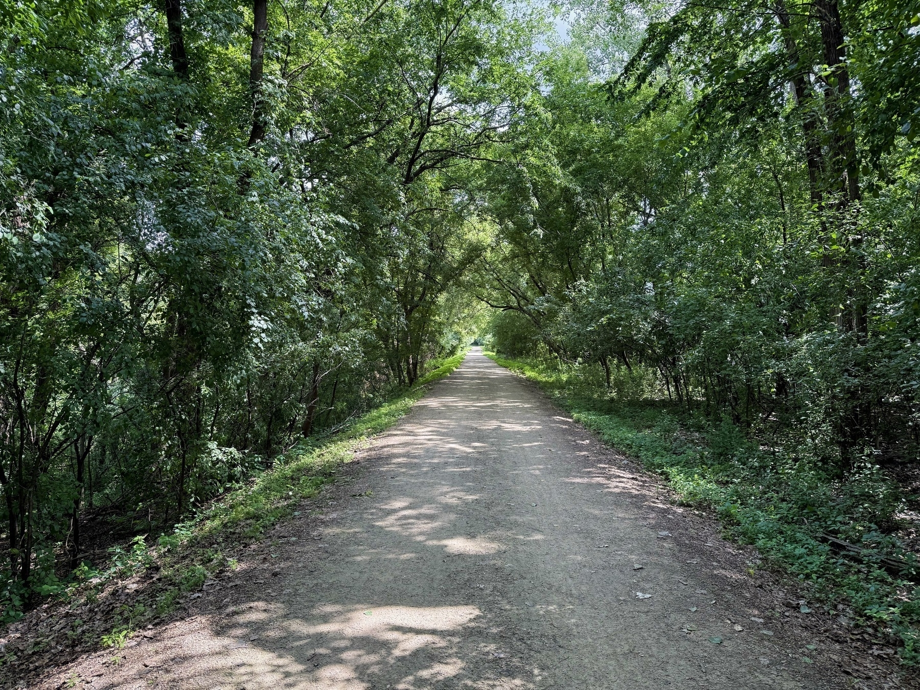 A dirt path stretches through a lush, green forest, with trees arching overhead and sunlight filtering through the leaves.|354x266