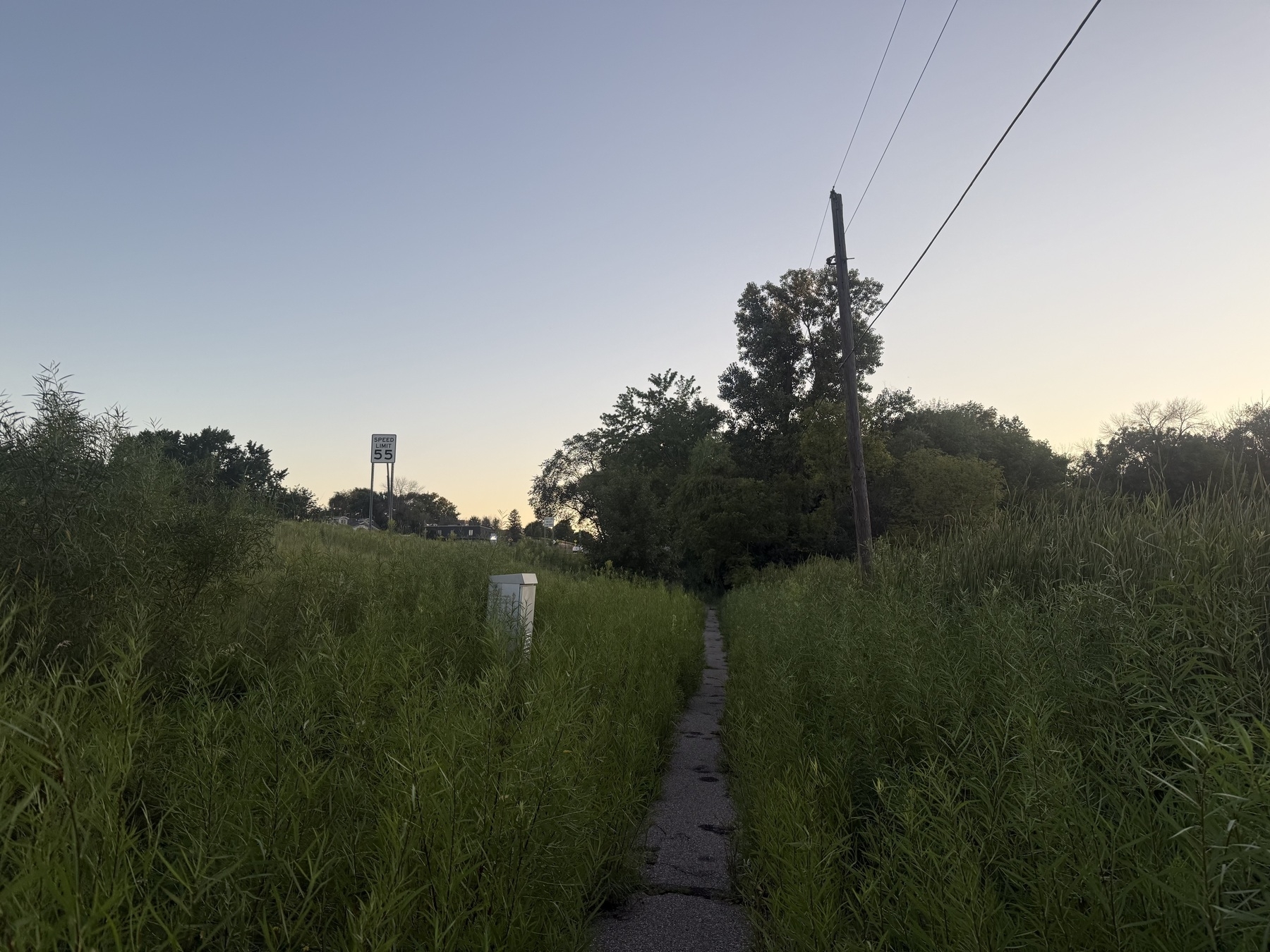 A narrow path flanked by tall grass and foliage under a clear sky at dusk. A utility pole and a speed limit sign are visible in the background.